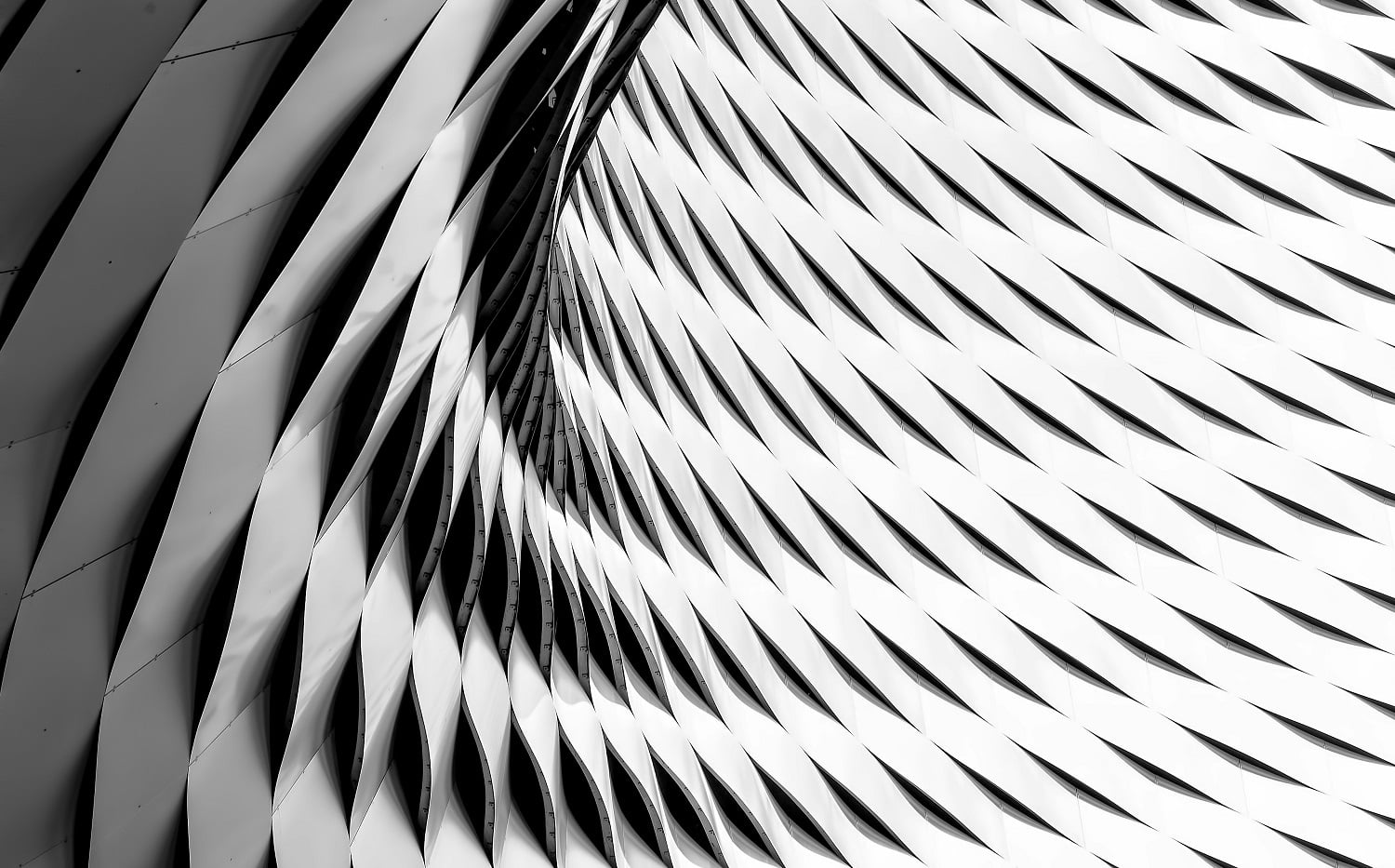 Local Web Designer in Perth