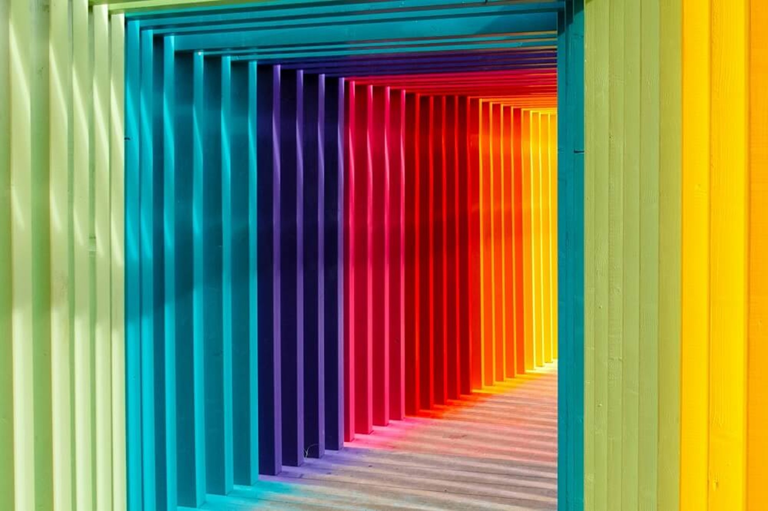 Image for Why WordPress Dominates Perth’s Web Design Scene